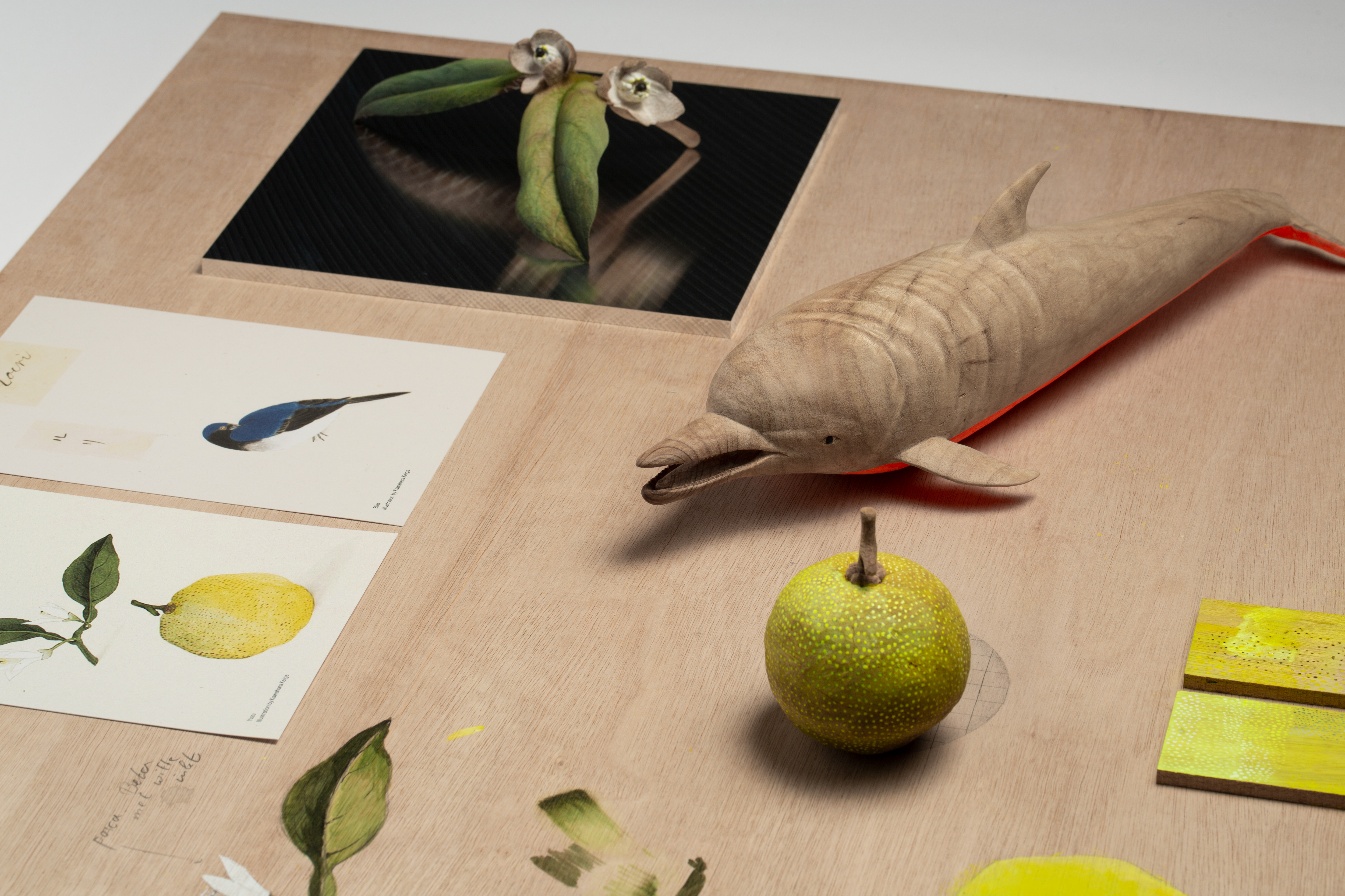 Wooden Narratives by Carole Baijings in collaboration with Akihiko Maeda photography by Shinji Otani Meer informatie