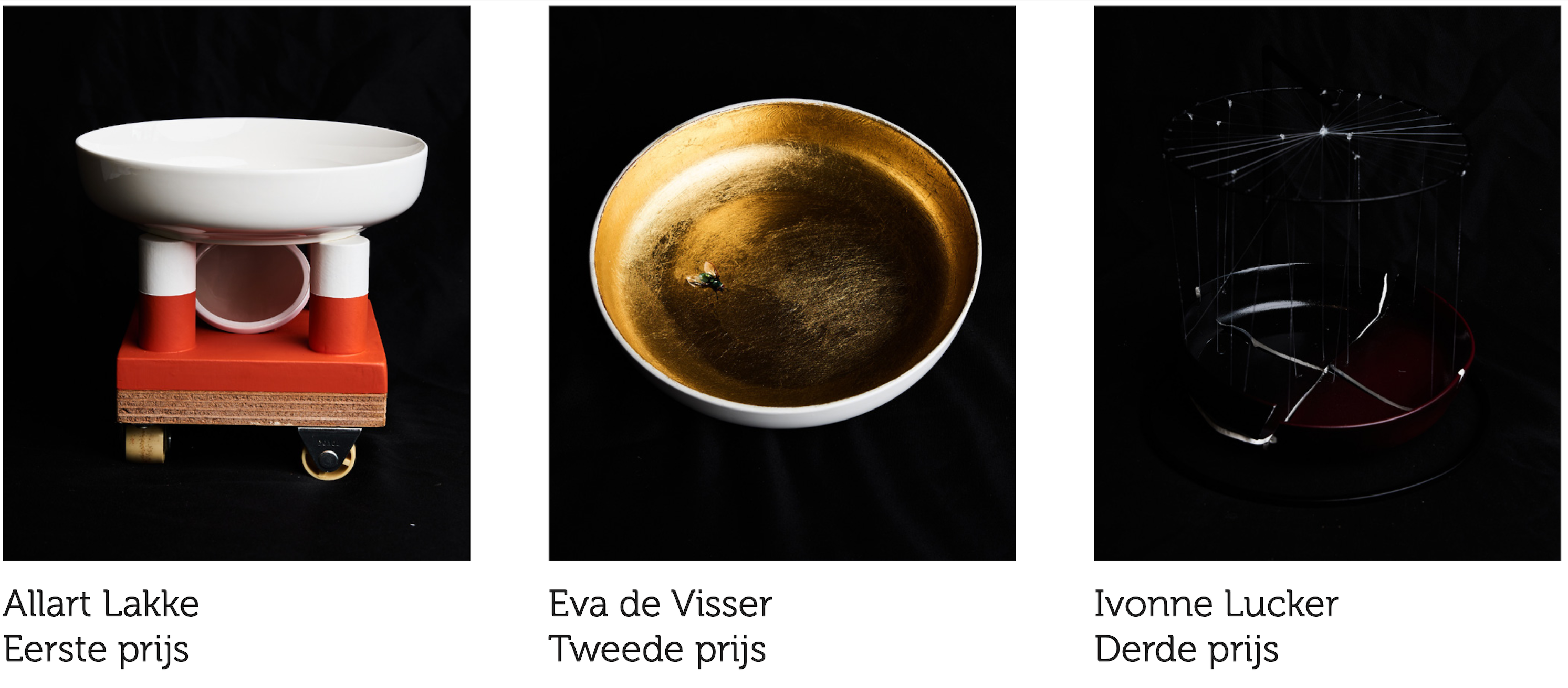 Prijs Schoonheid vd imperfectie Lees verder