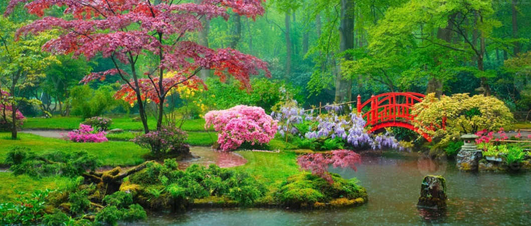 Japans tuin park clingendael de den haag nederland foto Meer informatie