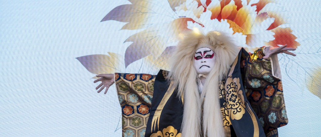 DSC scaled Meer informatie