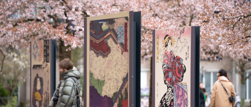 Hanami programma Meer informatie