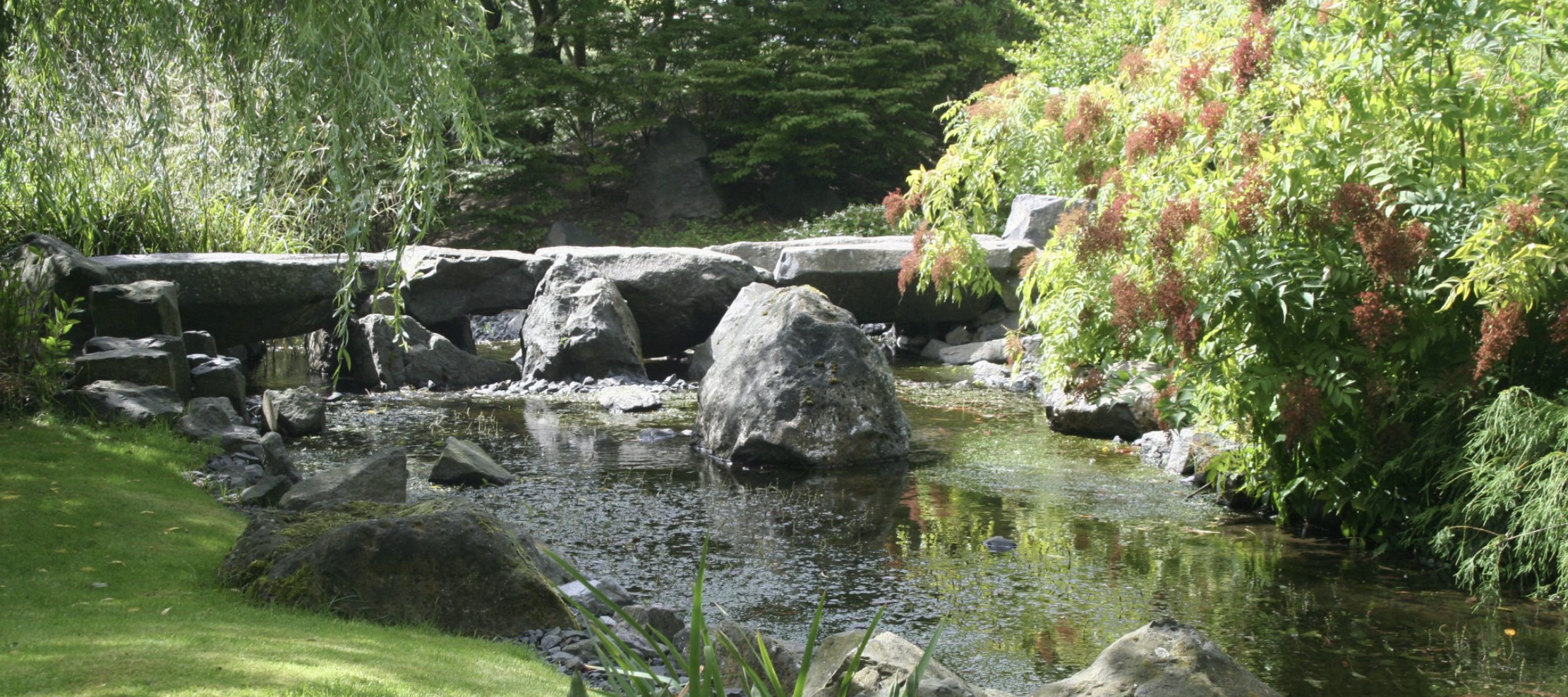 Hortus overzee Meer informatie