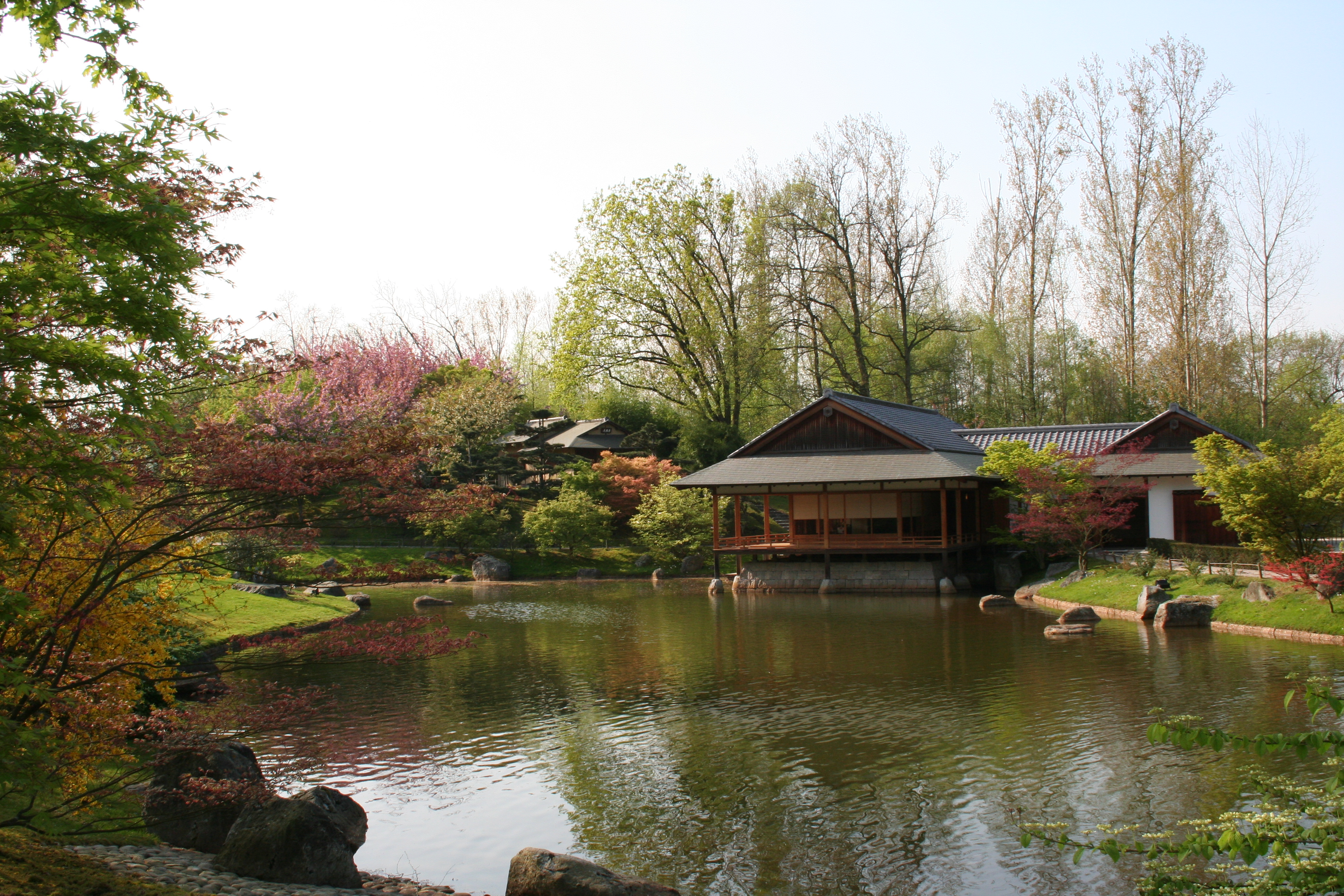 Japanse tuin Hasselt