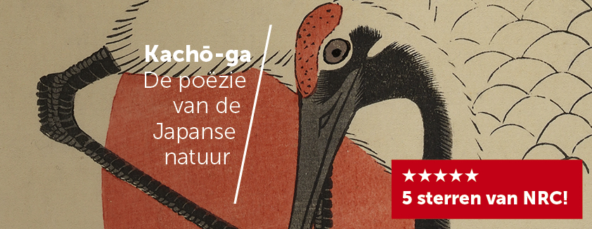 KACHOGA Header Facebook sterren