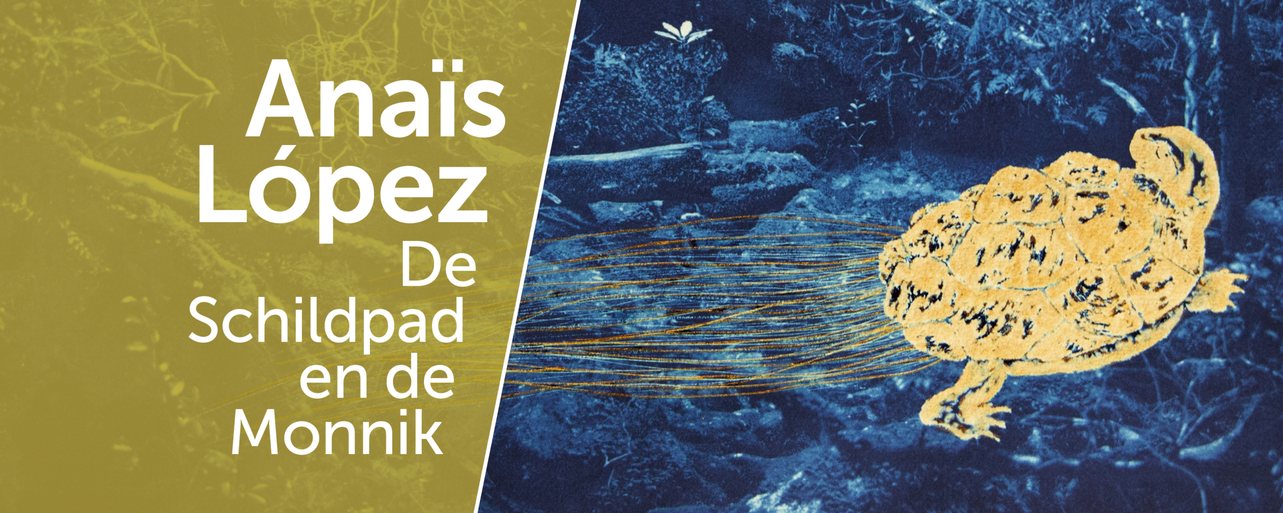 LOPEZ header Facebook HR