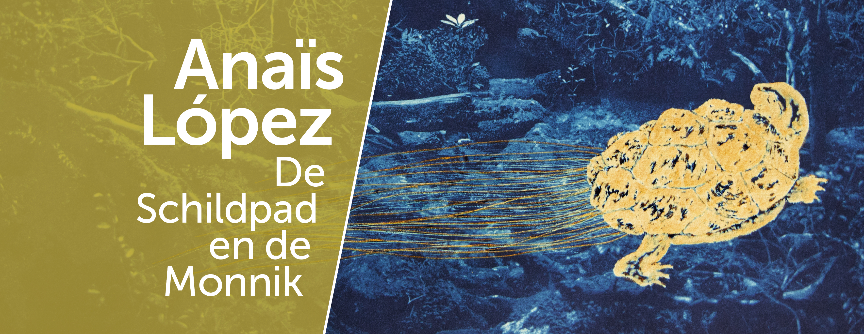 LOPEZ header Facebook HR Meer informatie