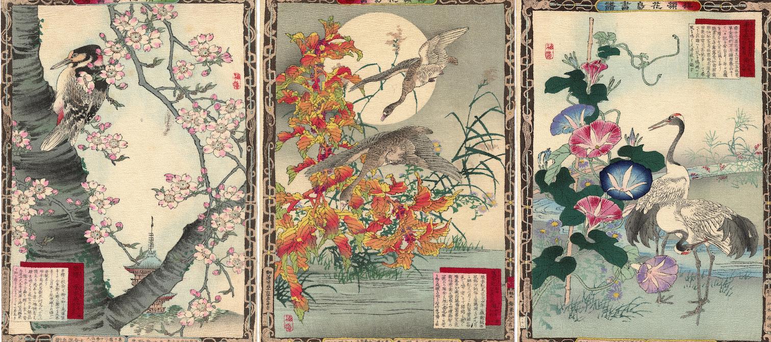 Blog jim juni Bekijk de collectie