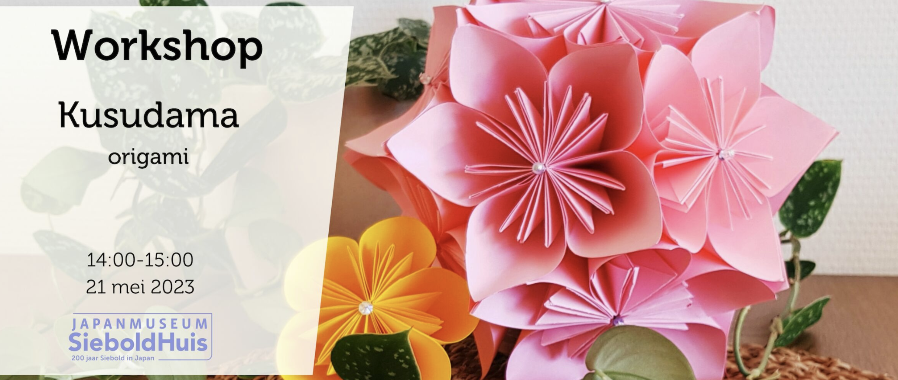 Kusudama origami Lees verder