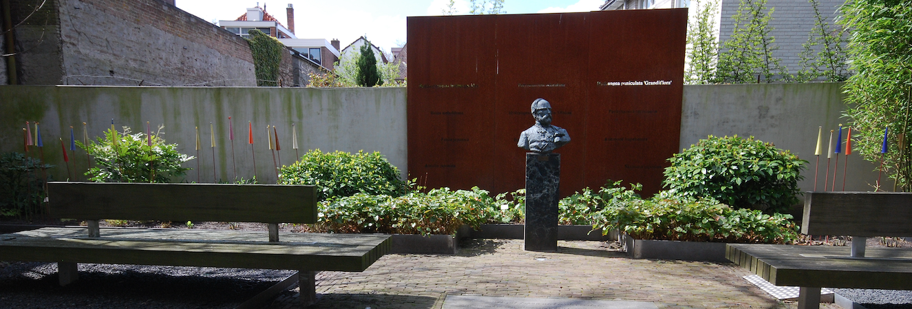 Tuin