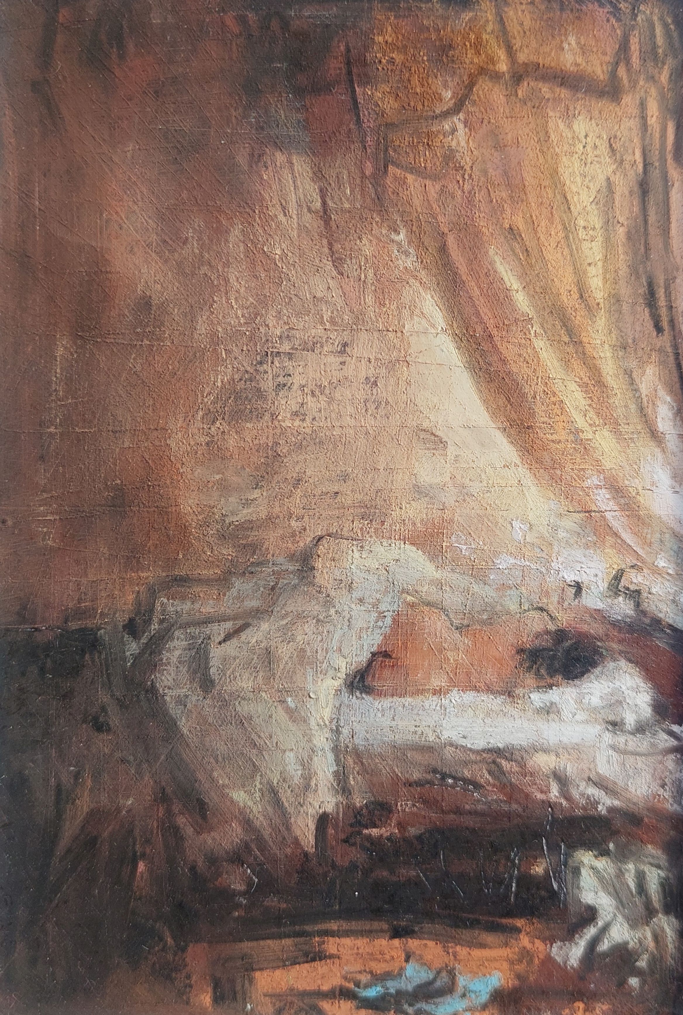 Rondom Danae blauwe slofjes