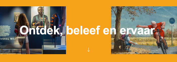 Header nieuwsbrief