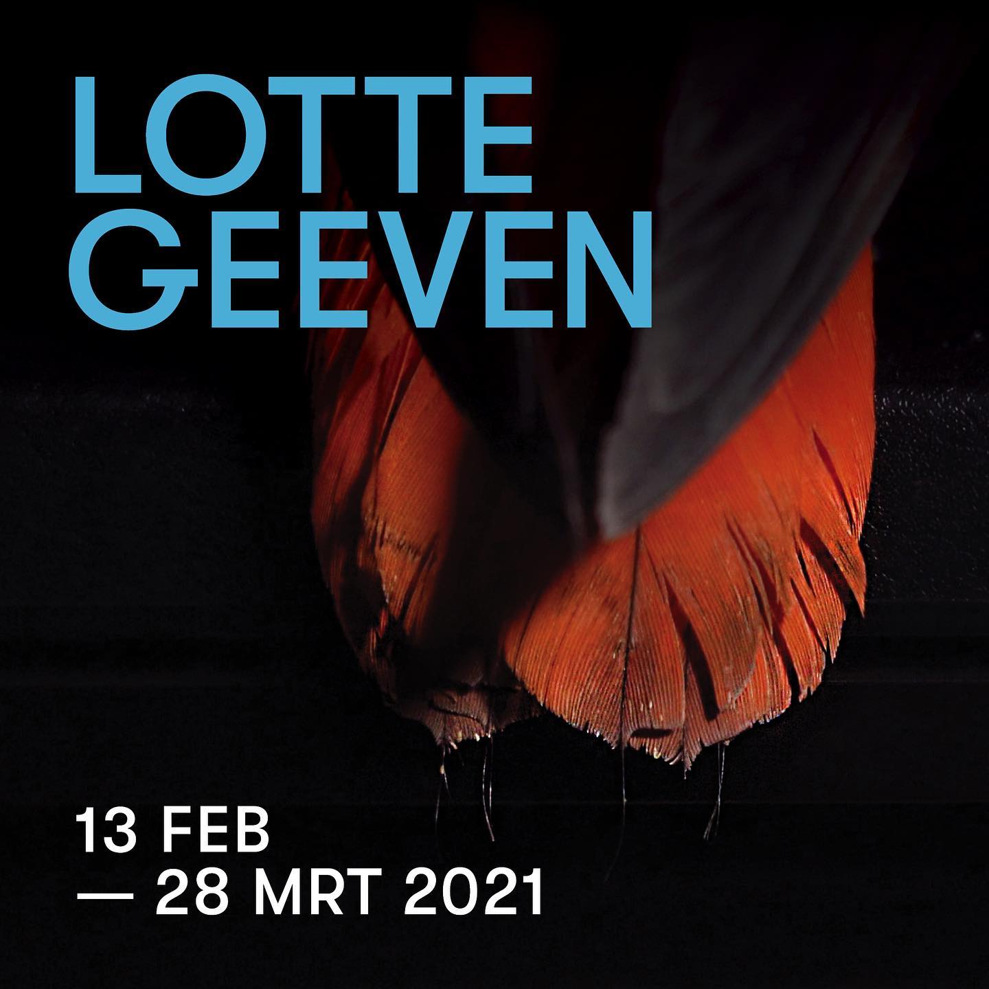 143009697 459255355447928 5427863162944311127 o 143009697 459255355447928 5427863162944311127 o