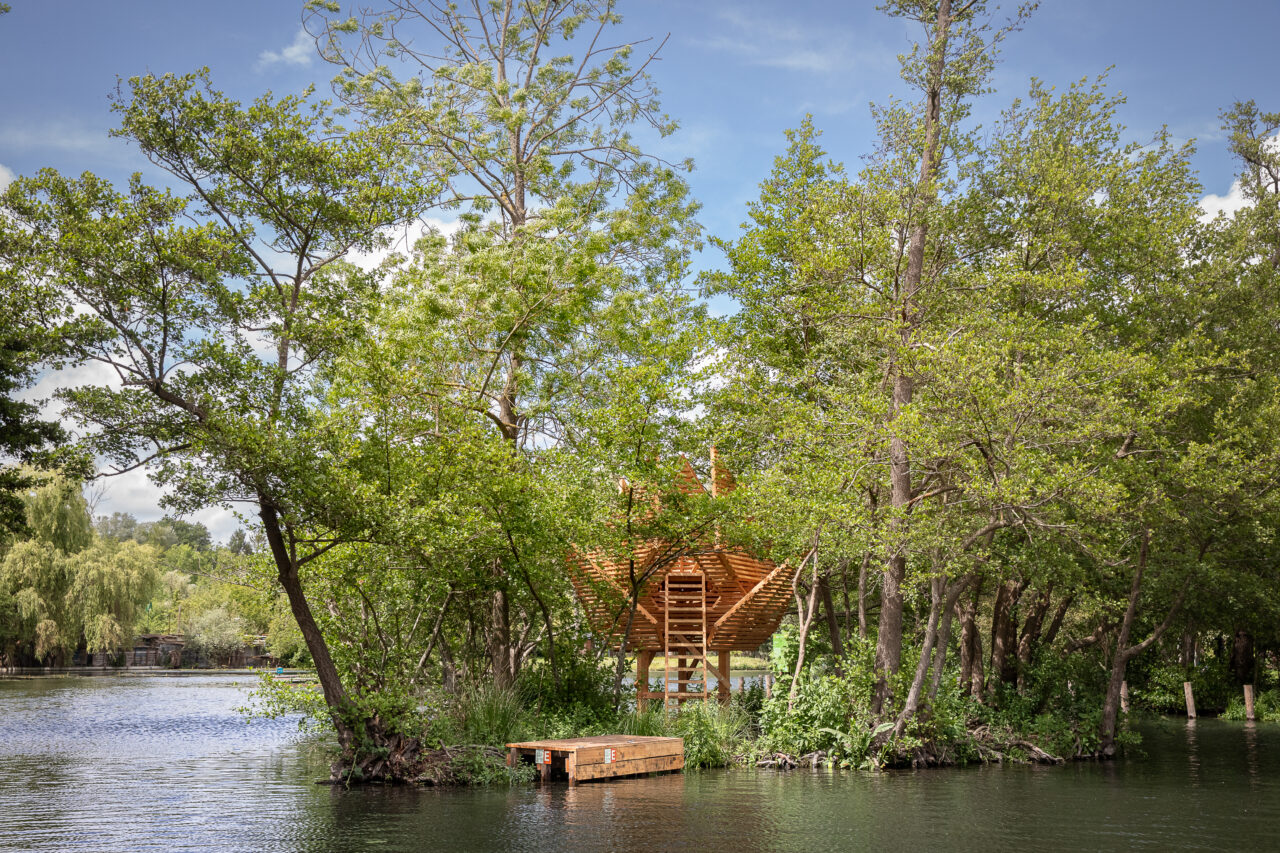 Art choke Niels ALBERSAJ HdF yannmonel Art choke Niels ALBERSAJ HdF yannmonel