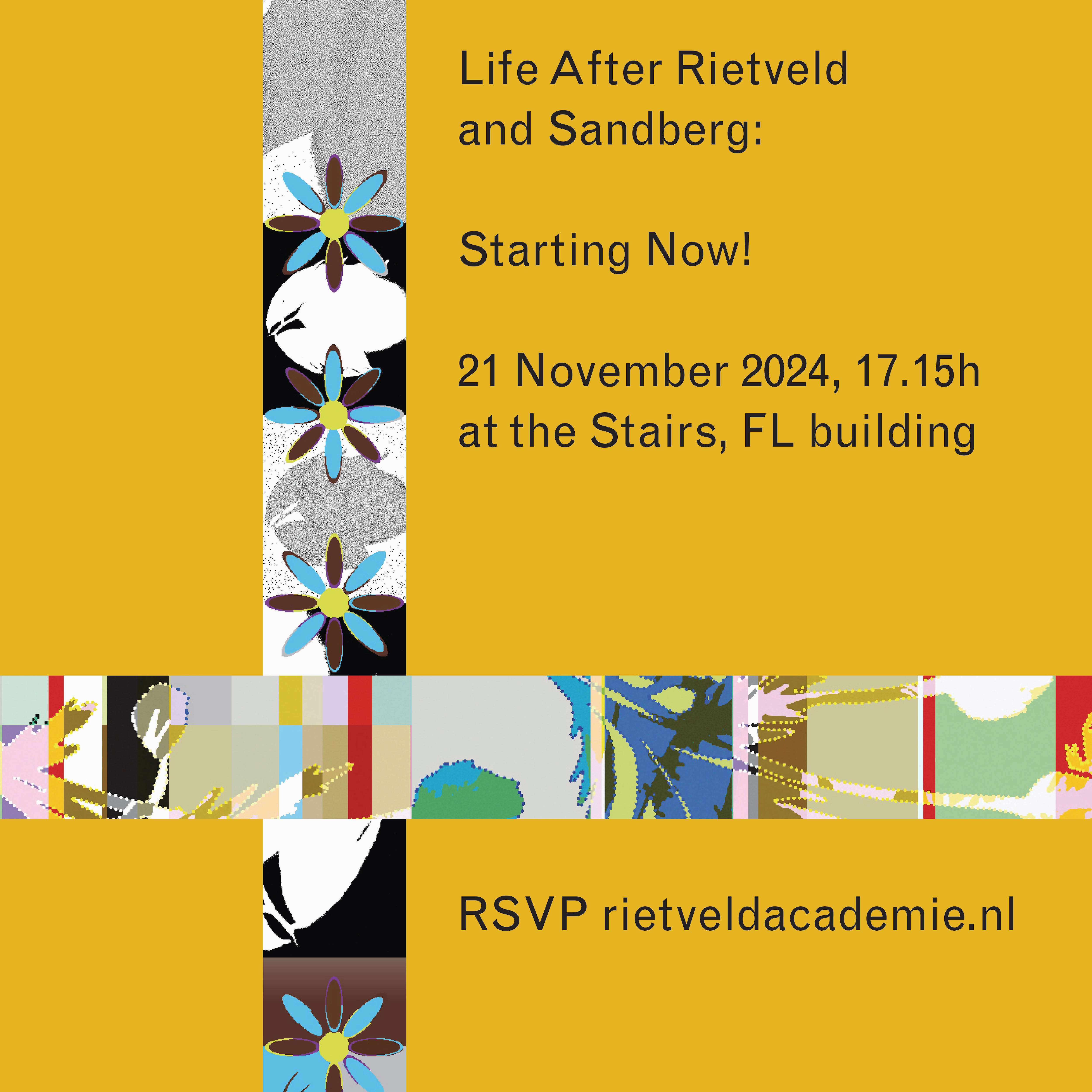 Instagram feed Starting Now copy