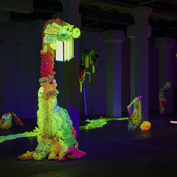 Matias Pedro GfG Regionale