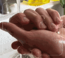 Momentum socials fb Momentum socials fb