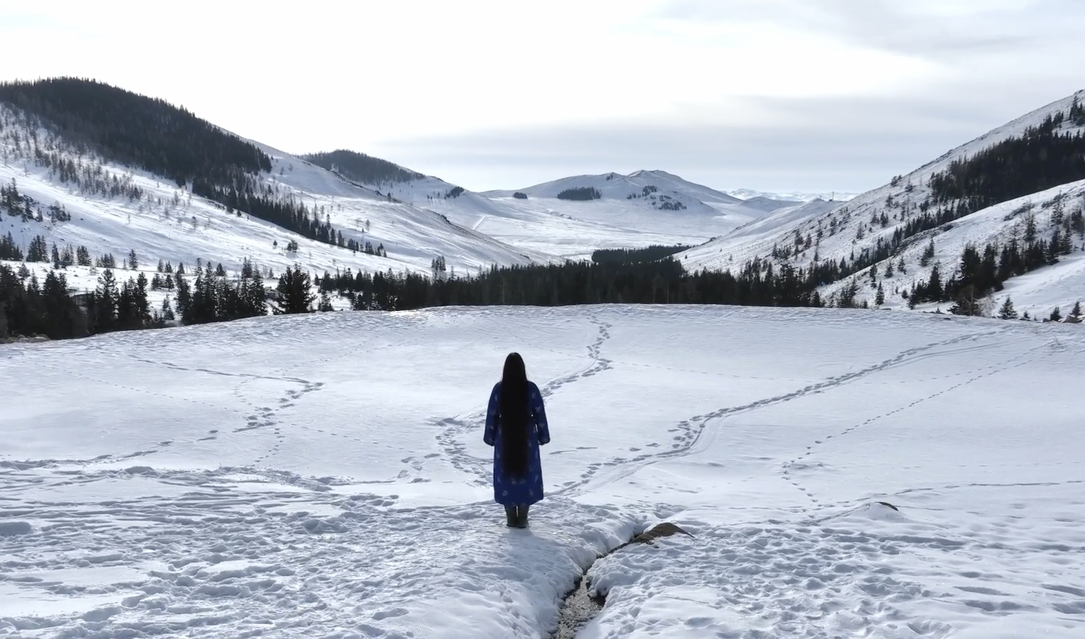 Schermafbeelding om Schermafbeelding om