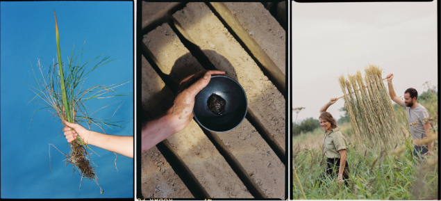 Screen Shot at Screen Shot at