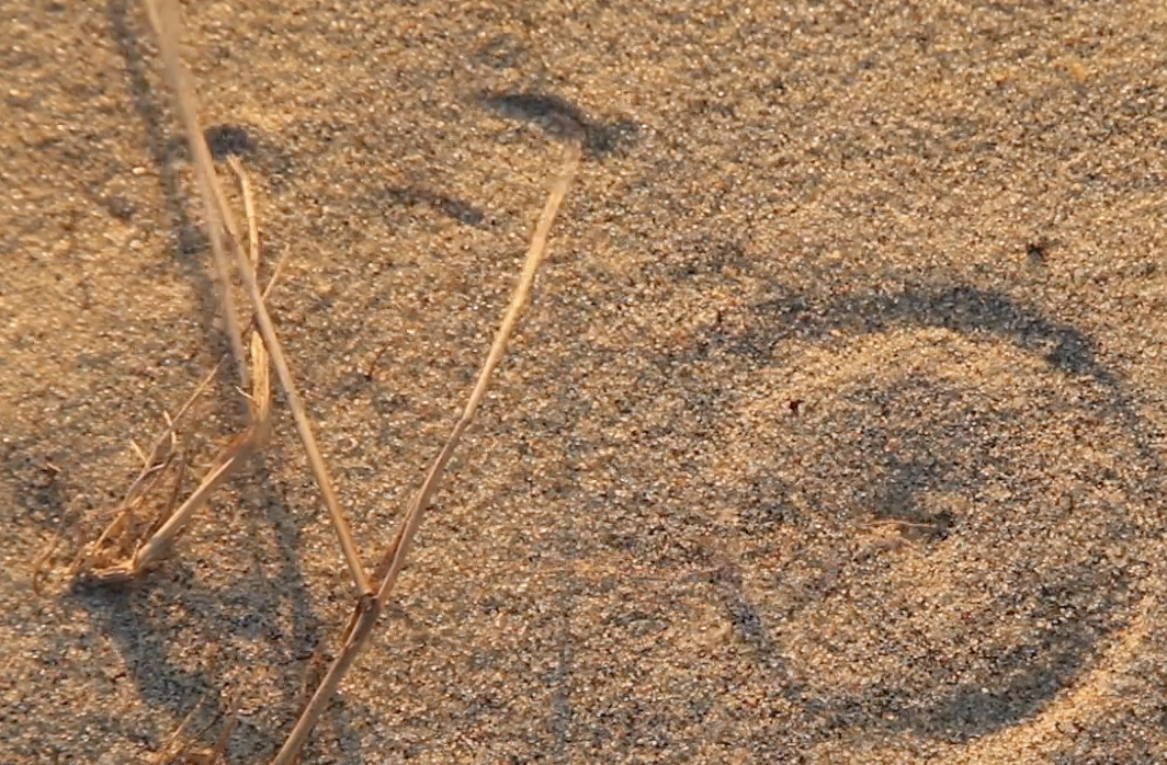 Screenshot at Screenshot at