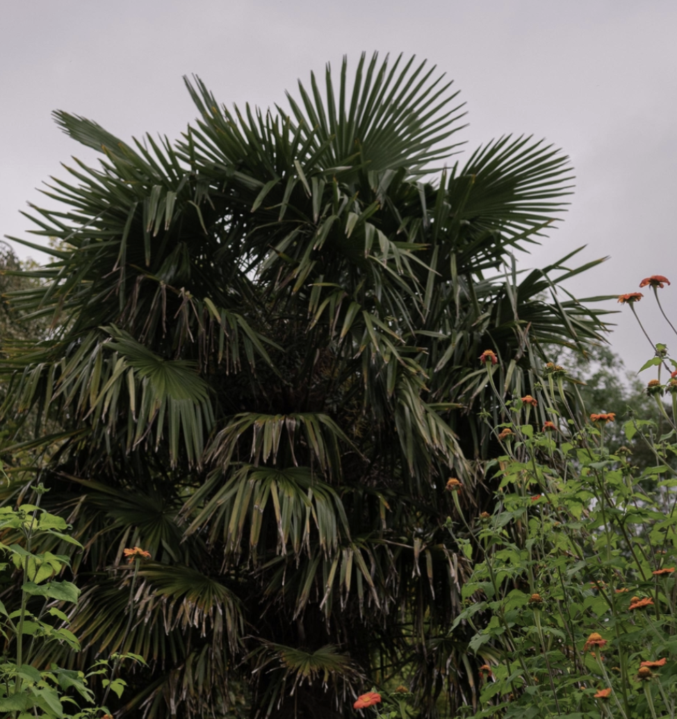 Screenshot at Screenshot at