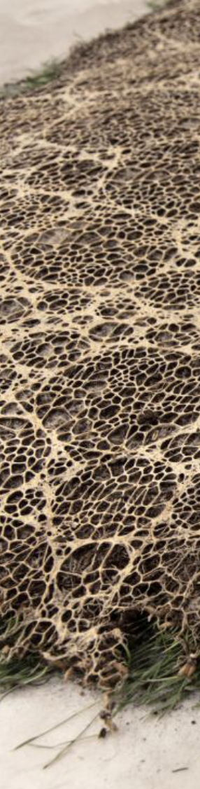 Screenshot at Screenshot at