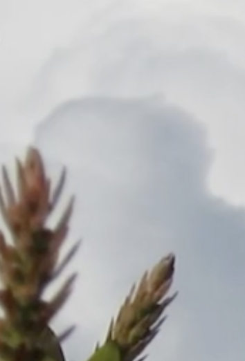 Screenshot at Screenshot at