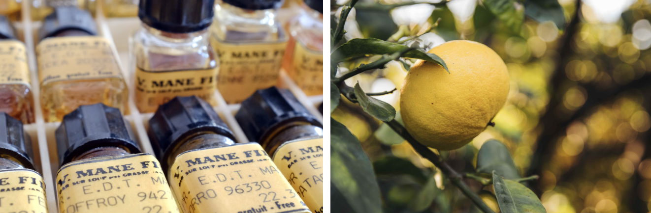 Screenshot at Screenshot at