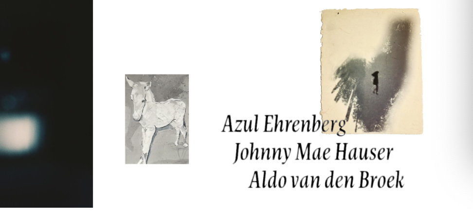 Screenshot at Screenshot at