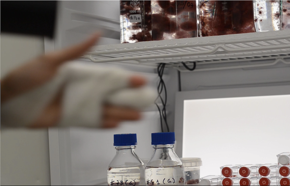 Screenshot at Screenshot at