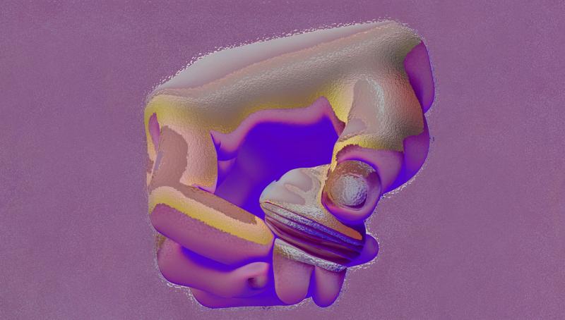 Brakke grond Brakke grond