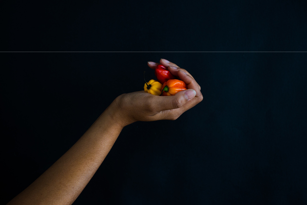 Code noir still life peppers jpg(mediaclass landscape large dfdfdedbcdafeaae)