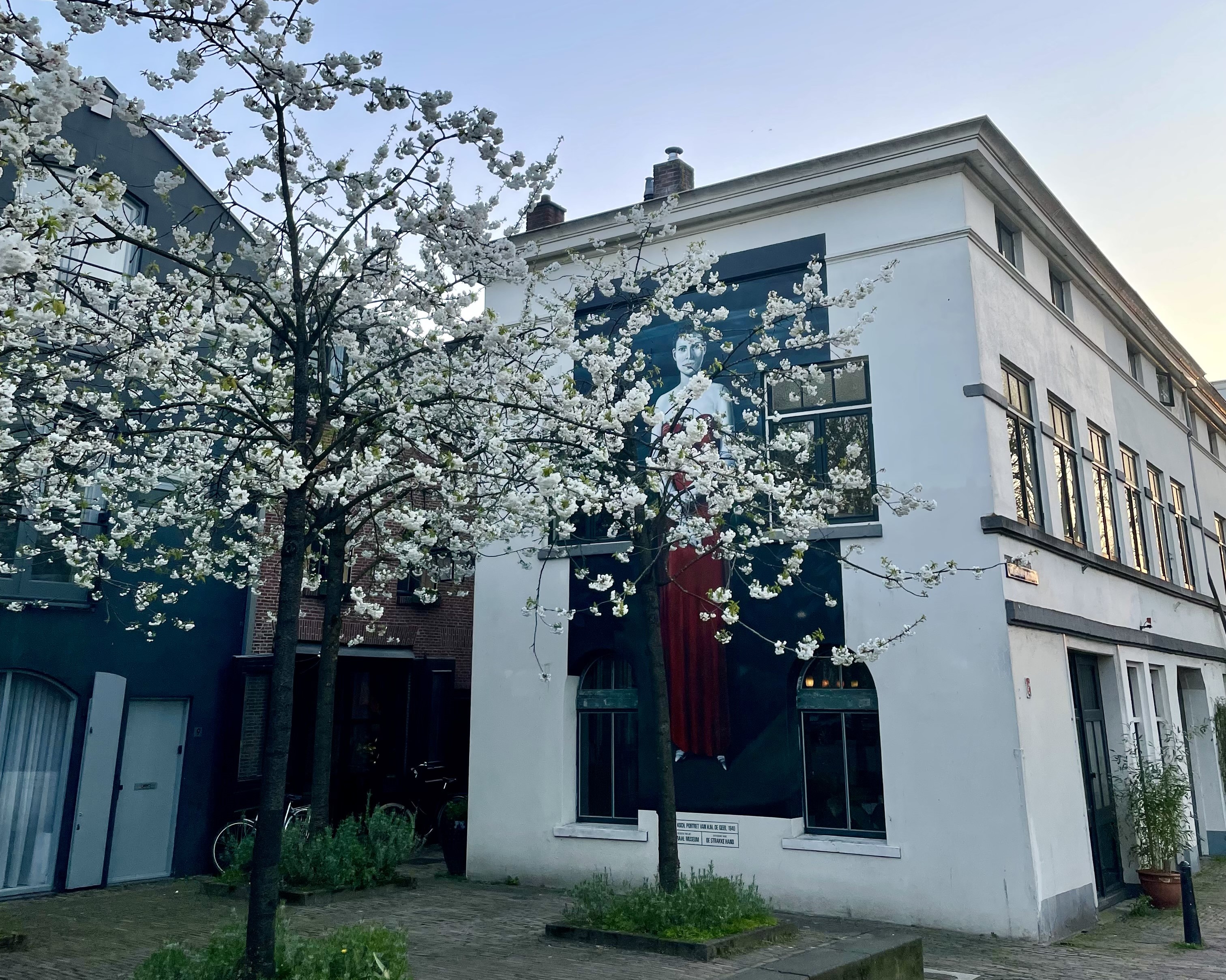 Street art asch van wijckskade bloesem Rosan Put APR