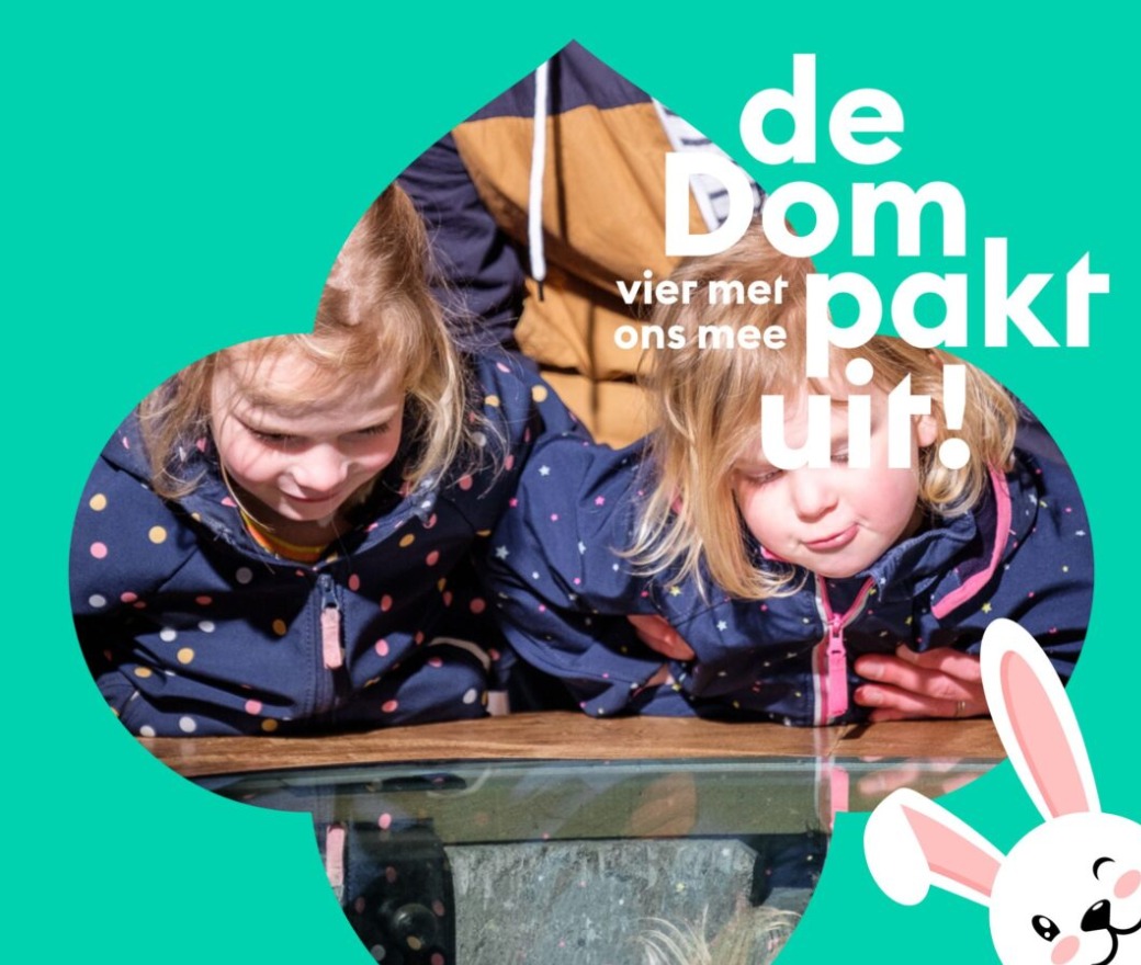 Ontwerp zonder titel
