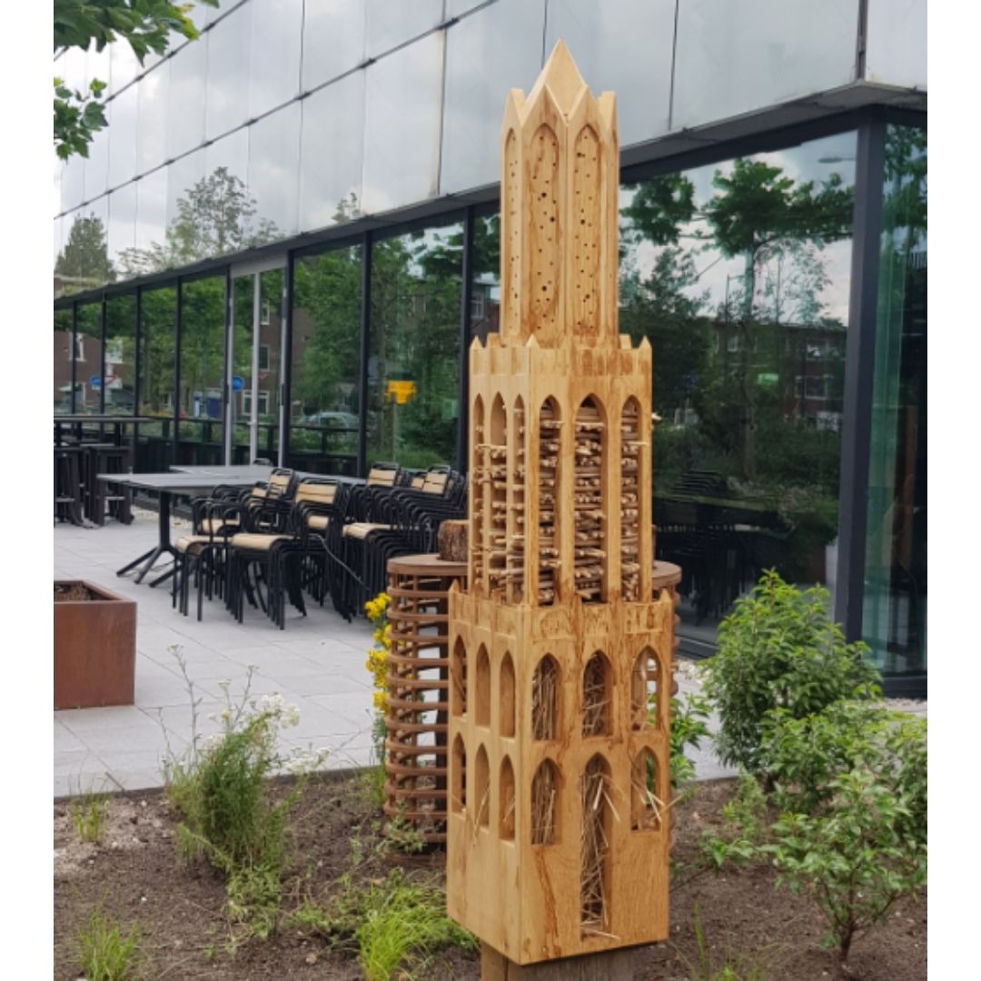 Ontwerp zonder titel