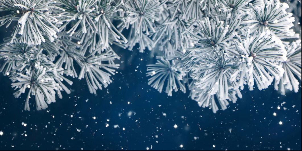 Snowy banner