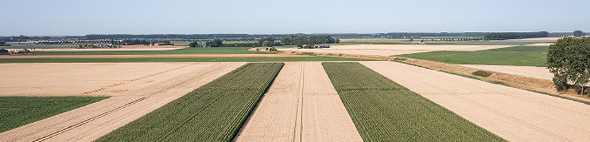 Foto landbouwstroken nieuwsbrief oktober