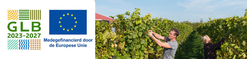 Logo GLB met landbouwplaatje duirvenplukkers en medegefinancierd EU TEST ANDERE BEWERKING