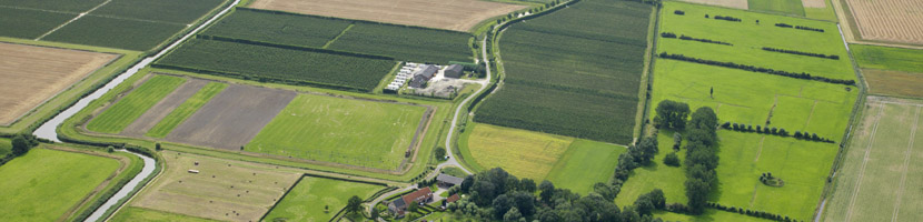 Ruilverkaveling in Zeeland pixels