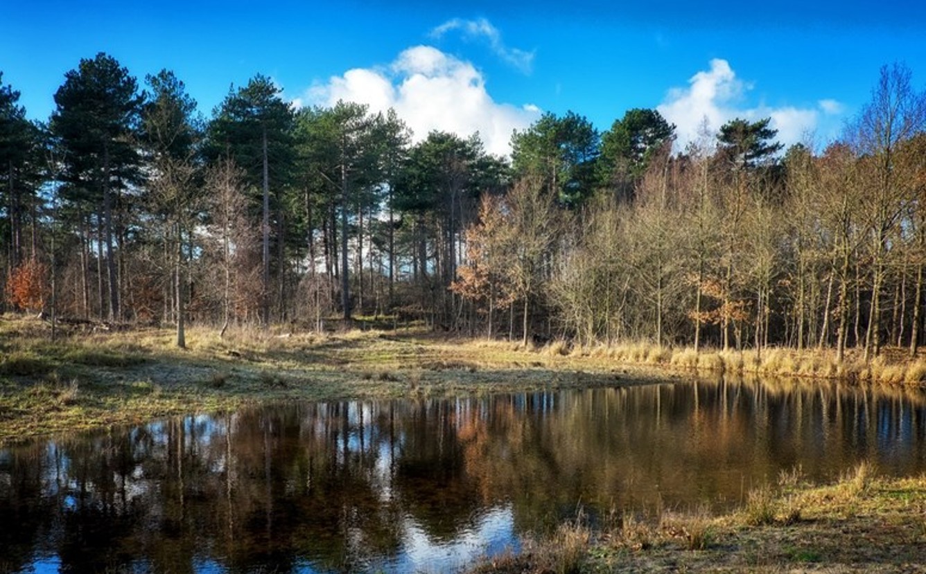 Kop van Schouwen