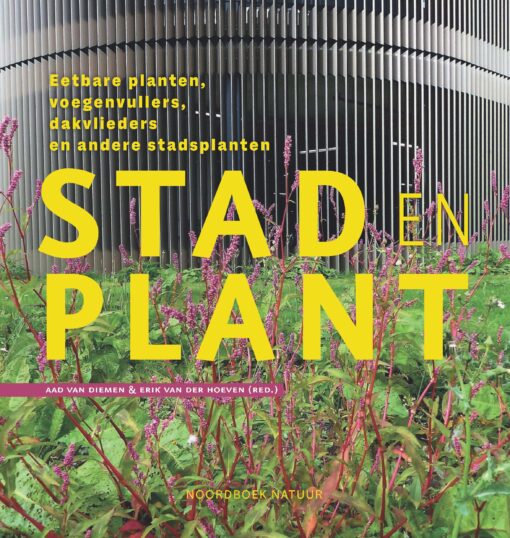 Stad en plant