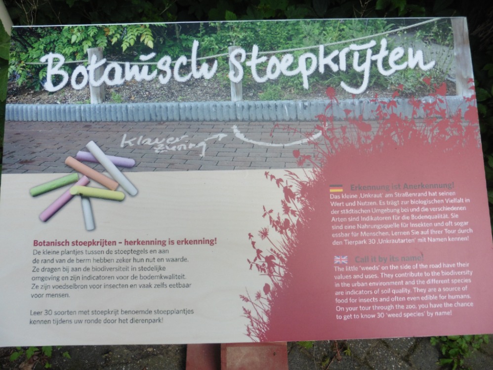 Arnhem