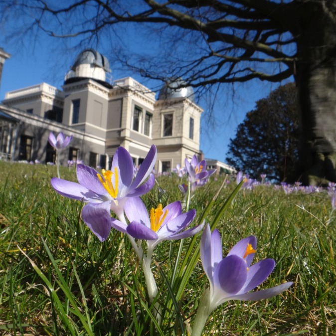 Sterrewacht Sterrewacht
