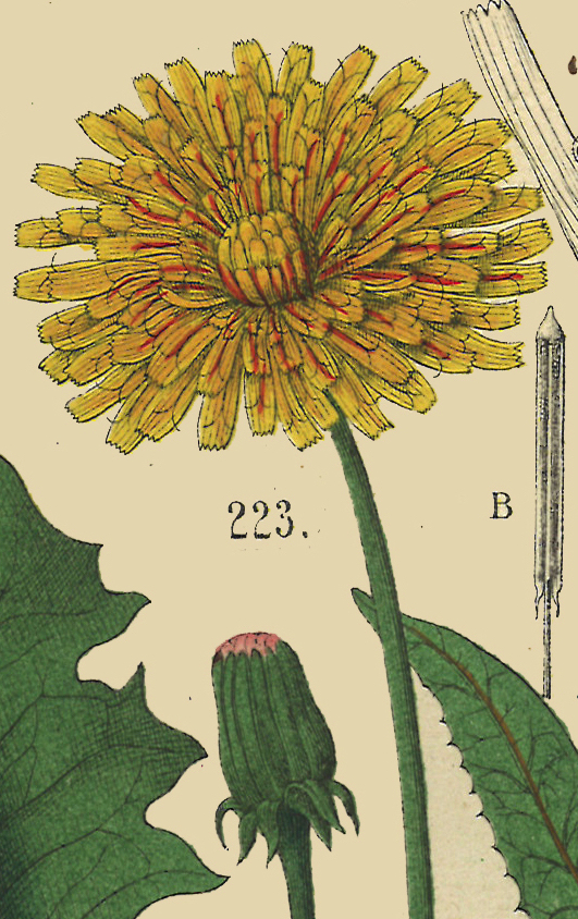 11 08 (3)