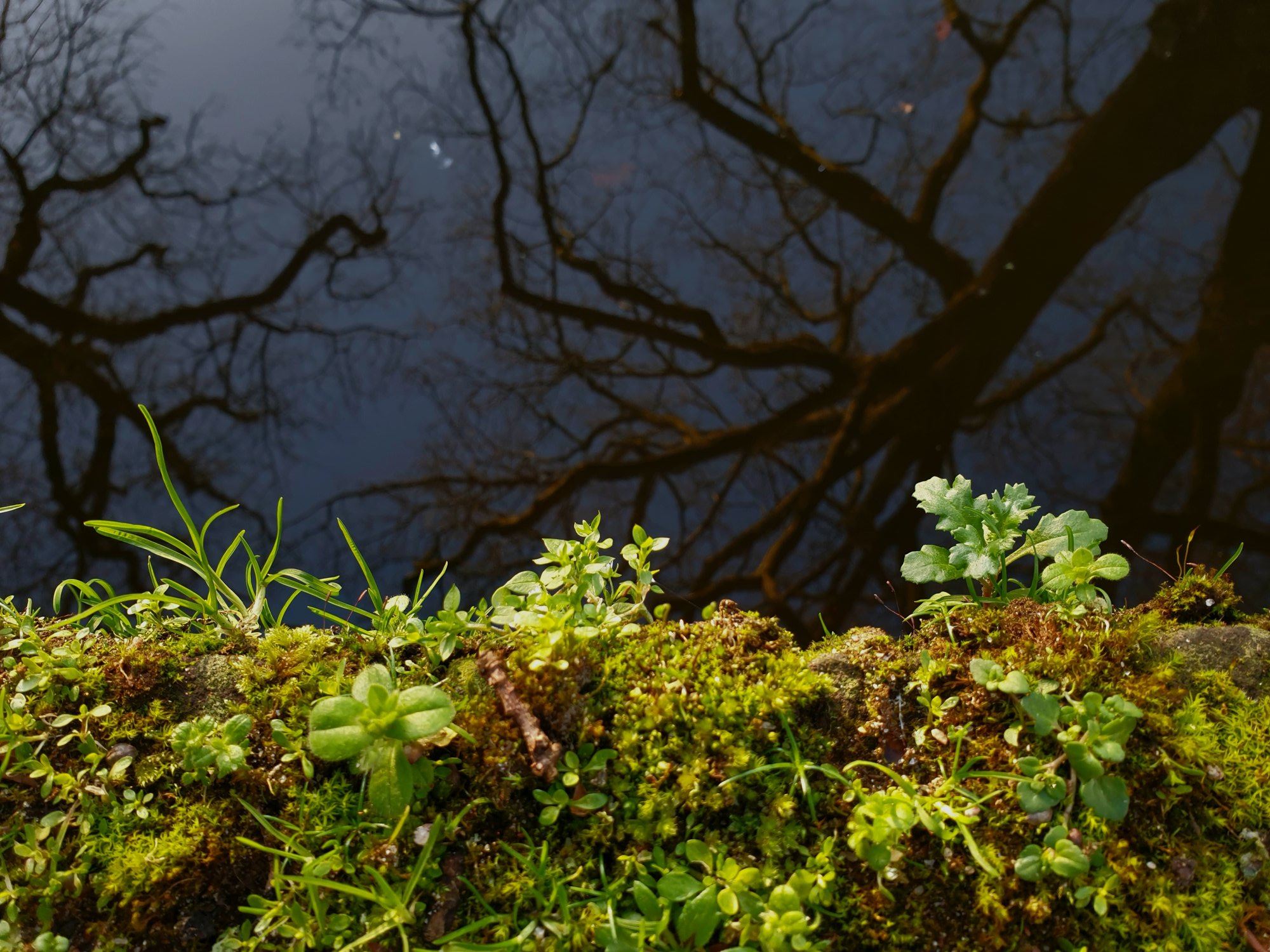 86183466 170262274417954 3290420981436252160 n 86183466 170262274417954 3290420981436252160 n