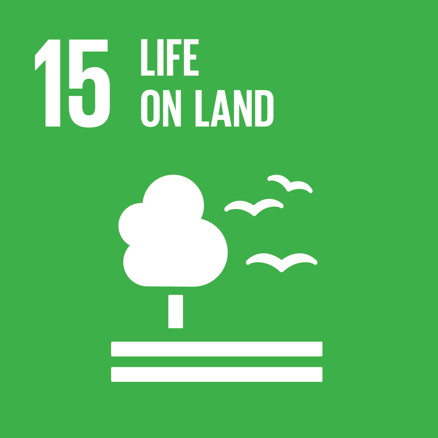 SDG goals icons individual rgb