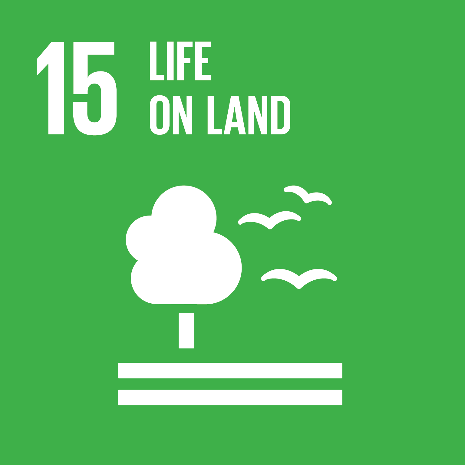 SDG goals icons individual rgb SDG goals icons individual rgb