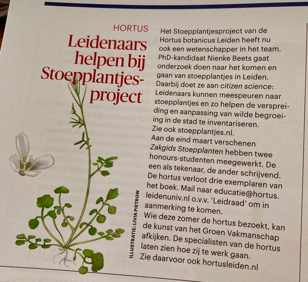 NIE leidraad
