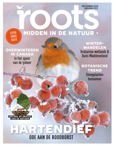 NL COVER