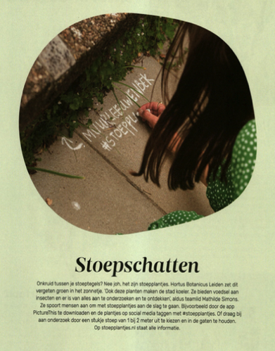 Schermafbeelding om Schermafbeelding om