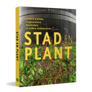 Stad en plant